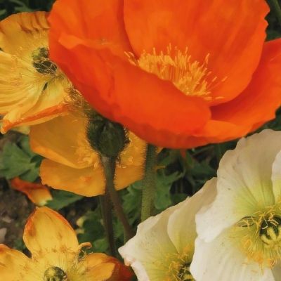 bat365官网登录入口下载手机版