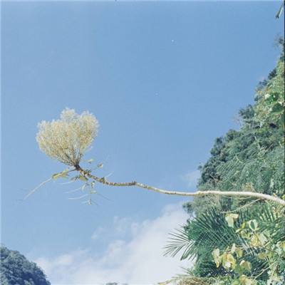 im电竞官网app下载