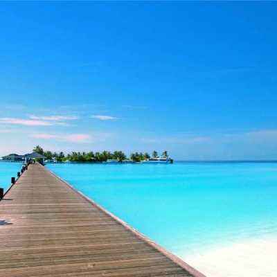 天博体育官网下载入口