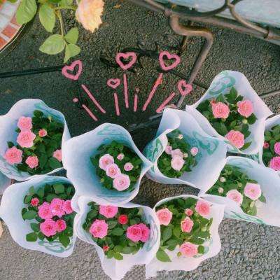 B体育手机版在线